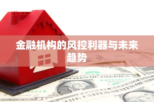 中站金融机构的风控利器与未来趋势