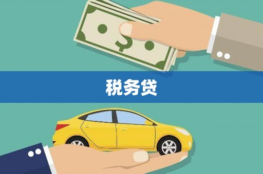 中站税务贷