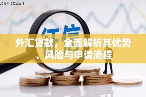 中站外汇贷款，全面解析其优势、风险与申请流程