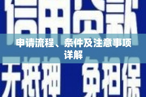 中站申请流程、条件及注意事项详解