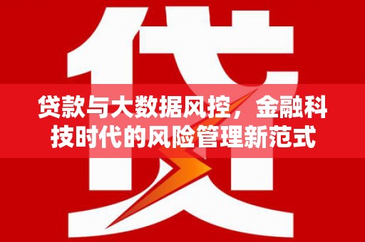 中站贷款与大数据风控，金融科技时代的风险管理新范式