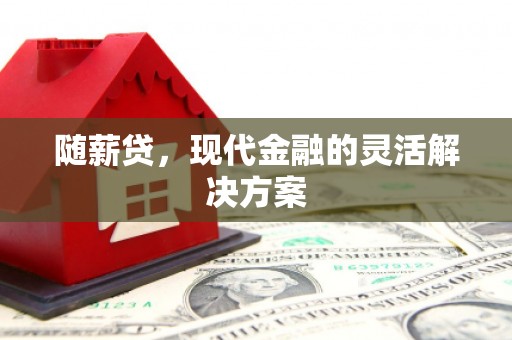 中站随薪贷，现代金融的灵活解决方案