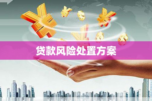 中站贷款风险处置方案