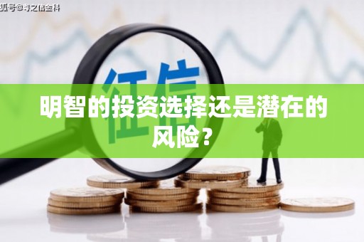 中站明智的投资选择还是潜在的风险？