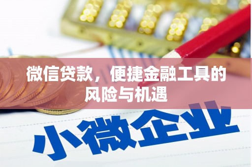 中站微信贷款，便捷金融工具的风险与机遇