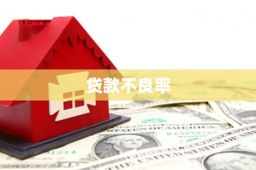 中站贷款不良率