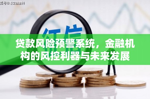 中站贷款风险预警系统，金融机构的风控利器与未来发展