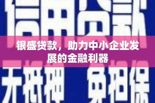 中站银盛贷款，助力中小企业发展的金融利器