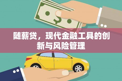 中站随薪贷，现代金融工具的创新与风险管理