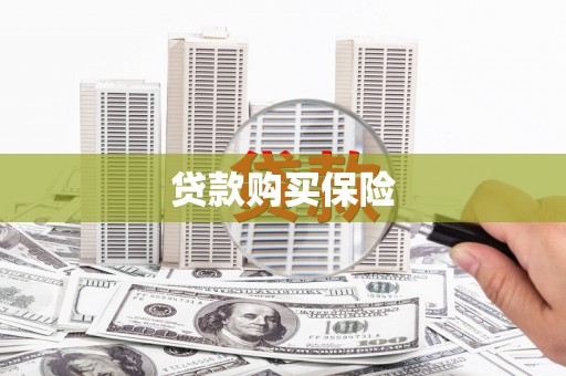 中站贷款购买保险