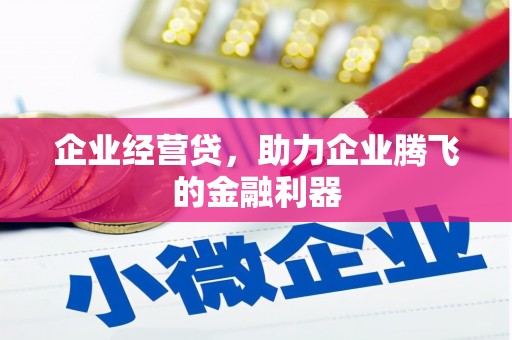 中站企业经营贷，助力企业腾飞的金融利器