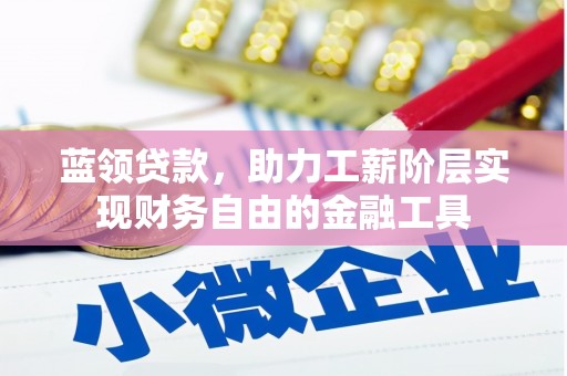 中站蓝领贷款，助力工薪阶层实现财务自由的金融工具