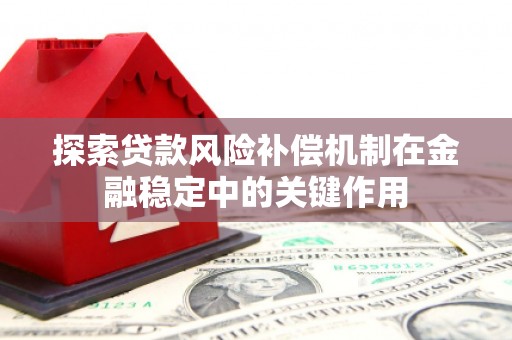 中站探索贷款风险补偿机制在金融稳定中的关键作用