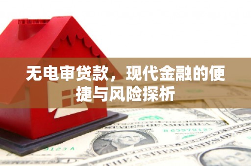 中站无电审贷款，现代金融的便捷与风险探析