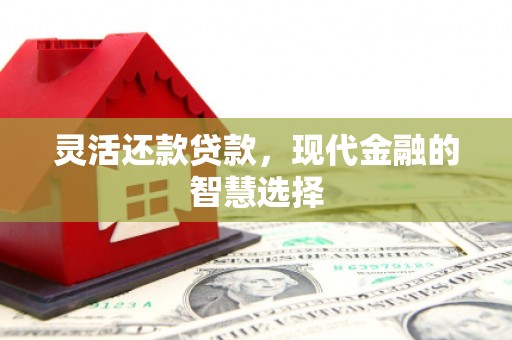中站灵活还款贷款，现代金融的智慧选择