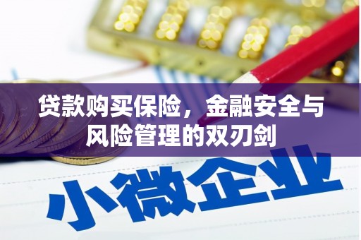 中站贷款购买保险，金融安全与风险管理的双刃剑