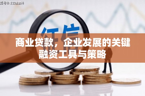 中站商业贷款，企业发展的关键融资工具与策略