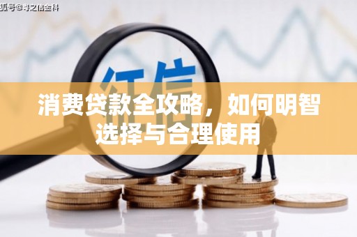 中站消费贷款全攻略，如何明智选择与合理使用