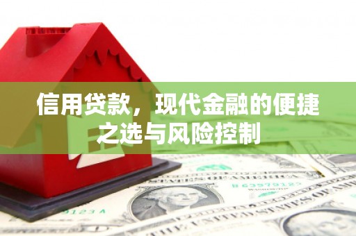 中站信用贷款，现代金融的便捷之选与风险控制