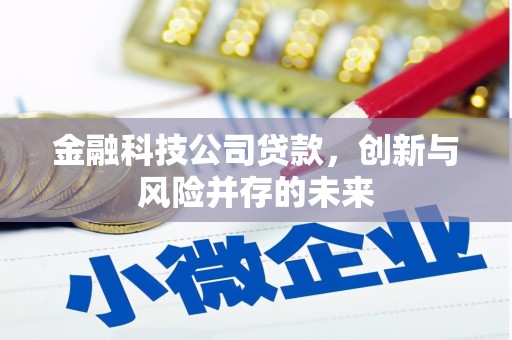 中站金融科技公司贷款，创新与风险并存的未来