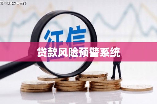 中站贷款风险预警系统