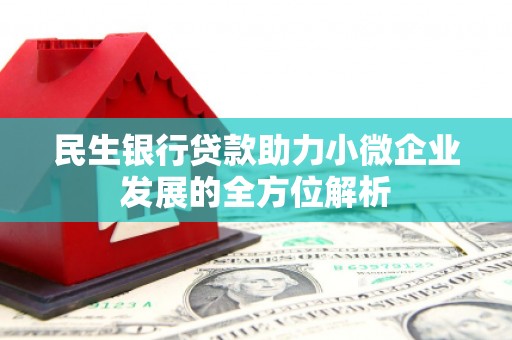 中站民生银行贷款助力小微企业发展的全方位解析