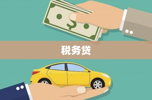 中站税务贷
