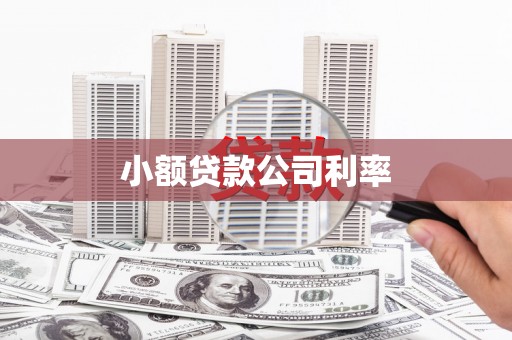 中站小额贷款公司利率