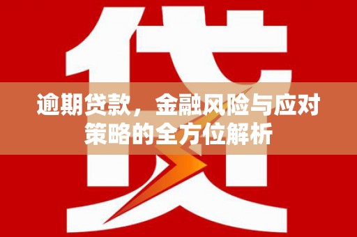 中站逾期贷款，金融风险与应对策略的全方位解析