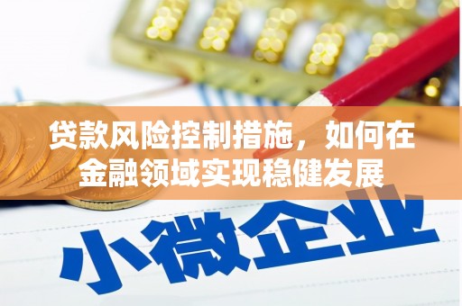 中站贷款风险控制措施，如何在金融领域实现稳健发展
