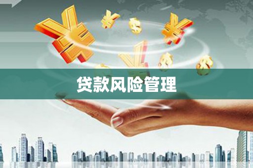 中站贷款风险管理