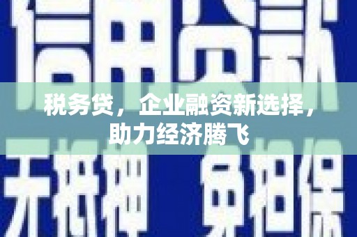 中站税务贷，企业融资新选择，助力经济腾飞