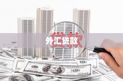 中站外汇贷款