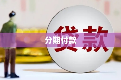 中站分期付款