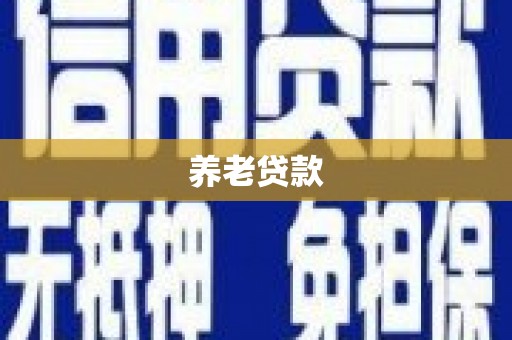 中站养老贷款