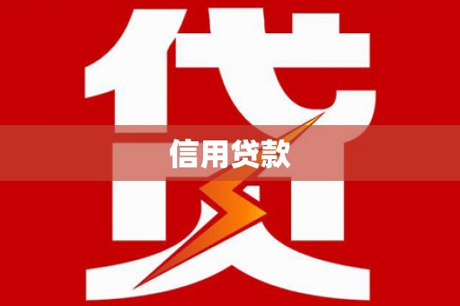 中站信用贷款