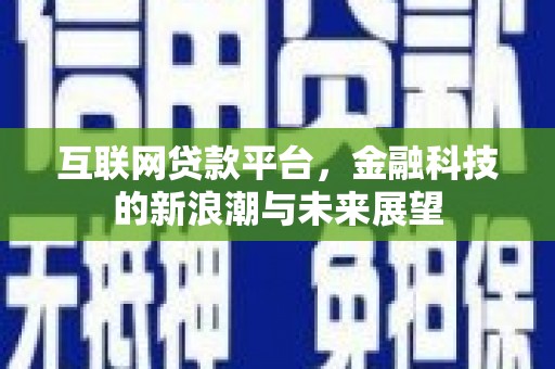 中站互联网贷款平台，金融科技的新浪潮与未来展望