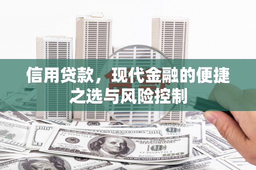 中站信用贷款，现代金融的便捷之选与风险控制
