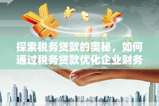 中站探索税务贷款的奥秘，如何通过税务贷款优化企业财务