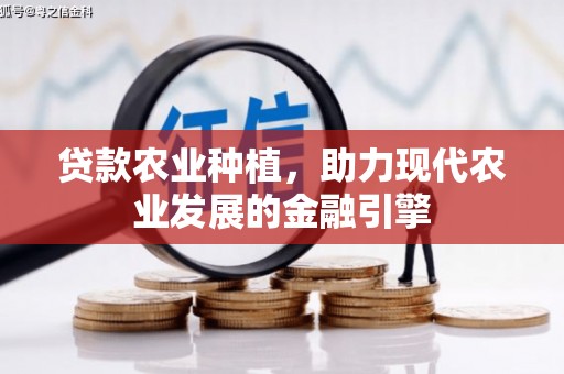 中站贷款农业种植，助力现代农业发展的金融引擎