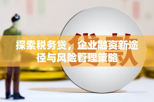 中站探索税务贷，企业融资新途径与风险管理策略
