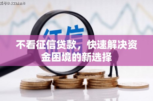 中站不看征信贷款，快速解决资金困境的新选择