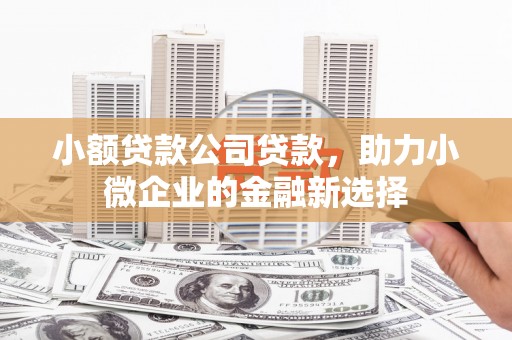 中站小额贷款公司贷款，助力小微企业的金融新选择