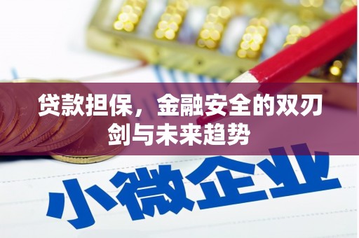 中站贷款担保，金融安全的双刃剑与未来趋势