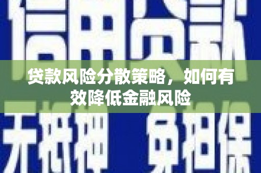 中站贷款风险分散策略，如何有效降低金融风险