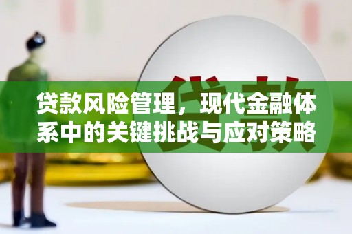 中站贷款风险管理，现代金融体系中的关键挑战与应对策略