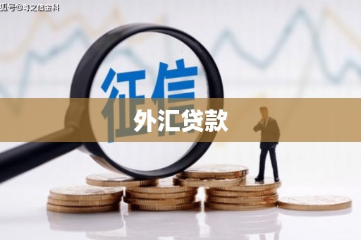 中站外汇贷款