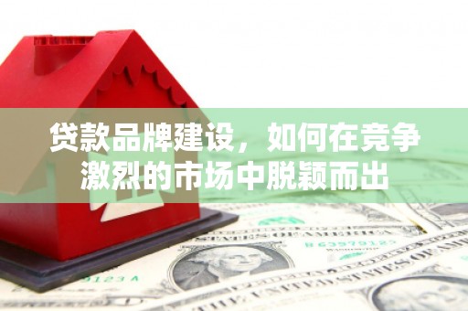 中站贷款品牌建设，如何在竞争激烈的市场中脱颖而出