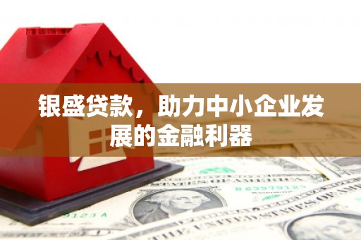 中站银盛贷款，助力中小企业发展的金融利器