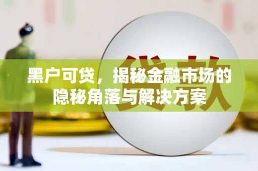 中站黑户可贷，揭秘金融市场的隐秘角落与解决方案